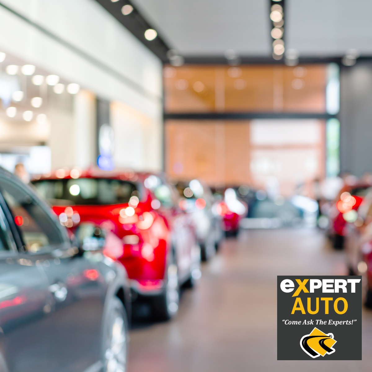 Are You Ready To Browse A Great Car Dealership Near Forestville?
