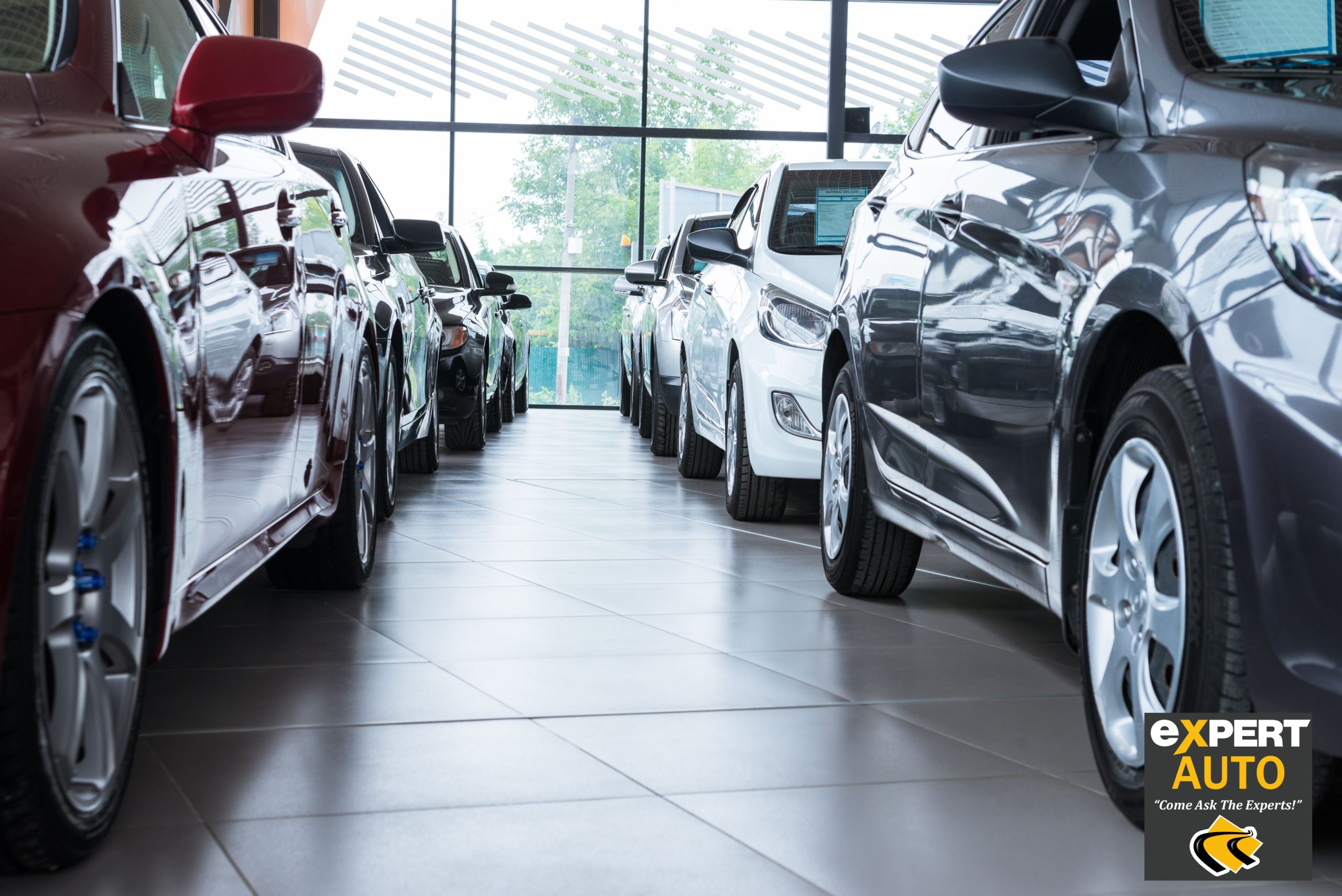 Our Auto Dealership Near Alexandria Offers Many Benefits