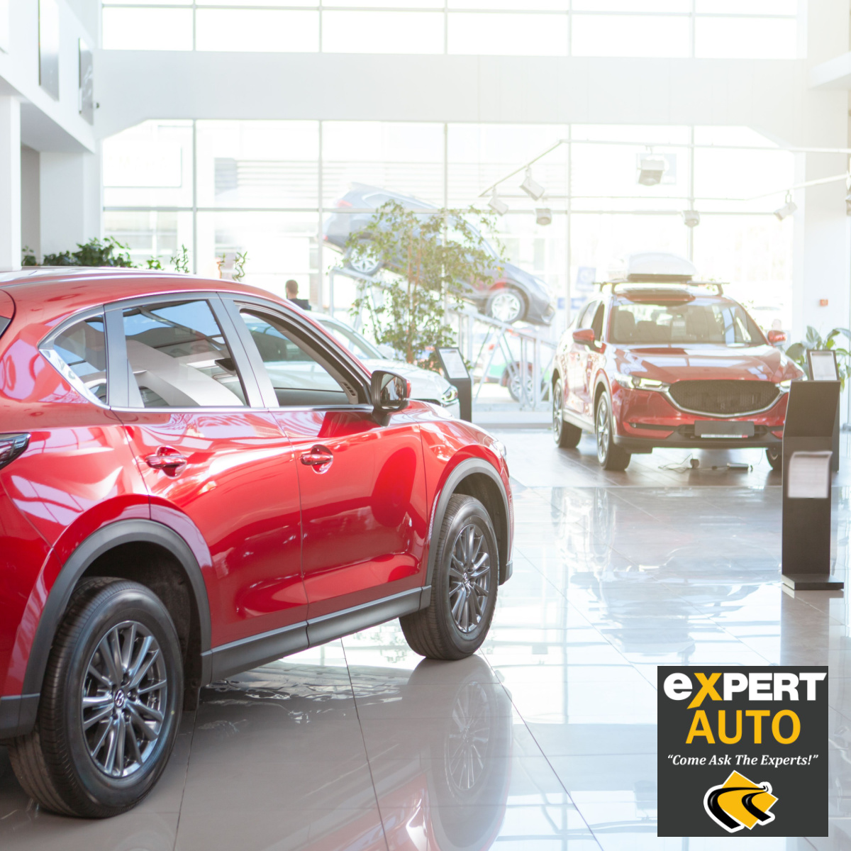 Our Temple Hills Dealership Has The Pre-Owned, Low Mileage Cars You Are Looking For